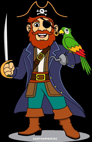 gartenpirat giphygifmaker pirate parrot pirat GIF