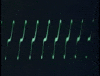 satellite communications vintage GIF by US National Archives