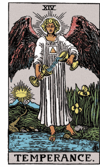 Temperance Major Arcana GIF by Luna y el Tarot