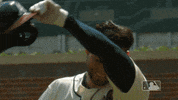 sanchez GIF by MLB