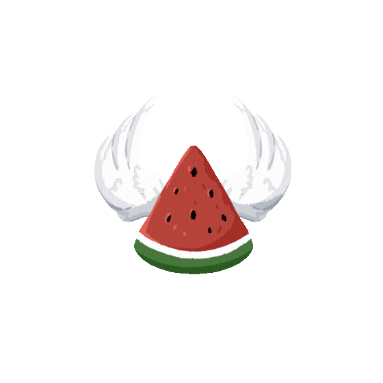 nizart_palette giphyupload flag freedom watermelon Sticker