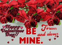 Party Love GIF by The SOL Foundation