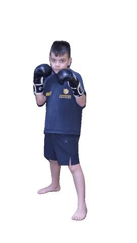 Lottatore Baby Fight Sticker by Champion Training Sanda Martial Art