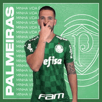 Soccer Futebol GIF by SE Palmeiras