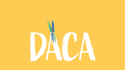 Butterfly Dreamers GIF by Cal Poly Pomona