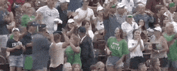 World Series Baseball GIF by NCAA Championships