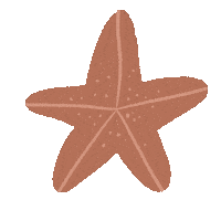 Sea Star Sticker
