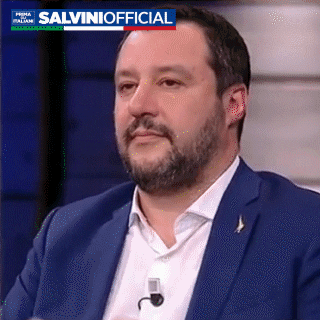 salvinigif salviniofficial GIF