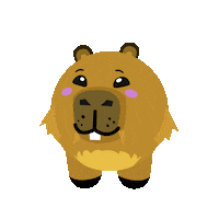 Pets Capybara Sticker by PlayKids