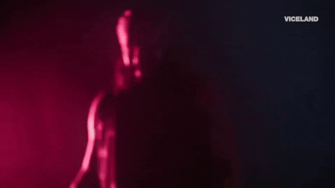 randy savage wrestling GIF by DARK SIDE OF THE RING