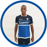 Hallo 2 Bundesliga Sticker by SV Darmstadt 1898 e.V.