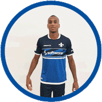 2 Bundesliga Football Sticker by SV Darmstadt 1898 e.V.