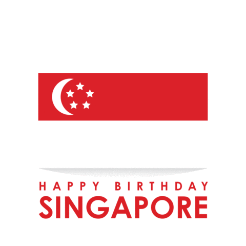 Happy Birthday Girl Sticker by VINCAR