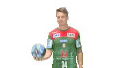 Handball-Bundesliga Ball Sticker by LIQUI MOLY HBL
