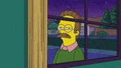 Suspicious Ned Flanders GIF