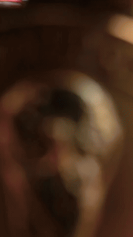 World Cup Winner Exequiel Palacios