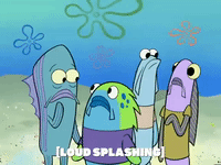 season 6 GIF by SpongeBob SquarePants