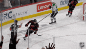 Happy Carolina Hurricanes GIF by NHL