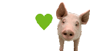 Greenpeace Rosalinde Sticker by GreenpeaceDeutschland
