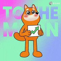 Celebrating To The Moon GIF by BONK