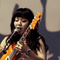 Lollapalooza GIF by Respective