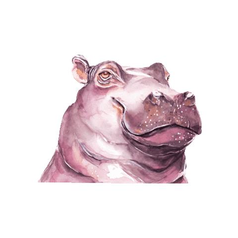 Nilpferd Sticker by mogli_de