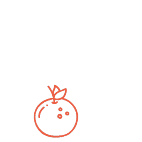 Bo Board Games Sticker by Blue Orange