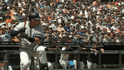 Jomboy  GIF
