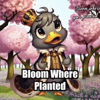 Growth Wisdom GIF by sirduckbeth