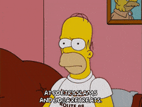 homer simpson GIF