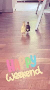 Weekend GIF