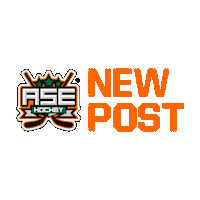 Orange Sticker by ASE Hockey