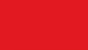 Football Neufc GIF