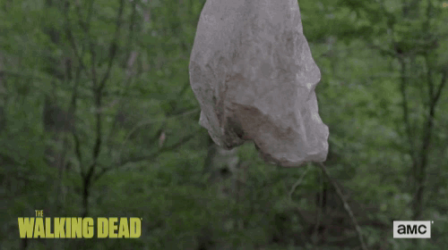 Twd GIF by The Walking Dead