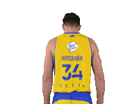 Arkagdyniakosz basketball koszykowka bestia arkagdynia Sticker