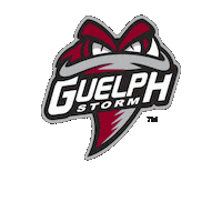 GuelphStormHockey ohl guelph storm guelph hockey Sticker