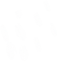 Background Dots Sticker by SOCIAL do REI