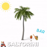 Salte GIF by Maritex