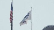 Football Waving GIF by New England Patriots