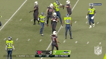 Seattle Seahawks Football GIF by NFL