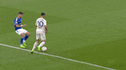 Football Soccer GIF by FC Schalke 04