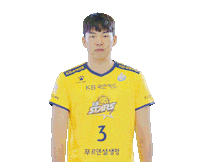 Kb스타즈 Sticker by KB STARS VOLLEYBALL CLUB