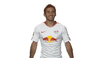 rb leipzig Sticker by Bundesliga
