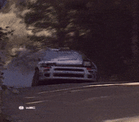 Rally Car GIF by FIA World Rally Championship