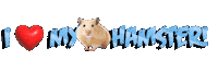 Guinea Pig Love Sticker
