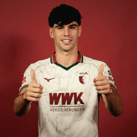 Bundesliga Daumen Hoch GIF by FC Augsburg 1907