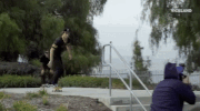 viceland GIF by KING OF THE ROAD