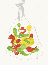 sophieaillustration food illustration shopping yum GIF