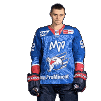 Nick Mattinen Sticker by Adler Mannheim