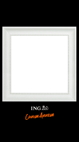 Frame Fotograf Sticker by ING Turkiye